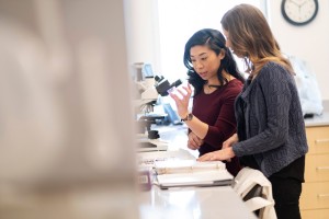 Two women collaborate in a lab, reviewing notes beside a microscope.