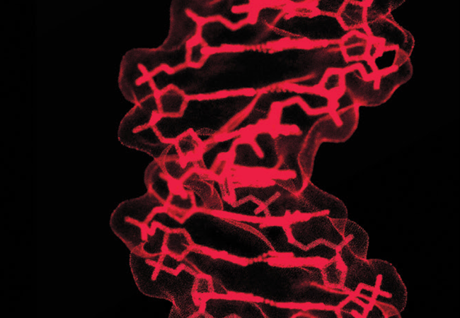 DNA spiral on black background