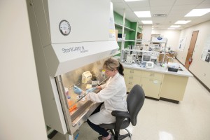 Research being done on campus in the Helix 51 Incubator