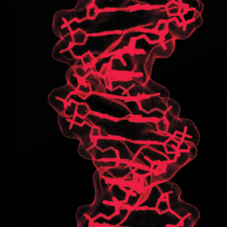 DNA spiral on black background