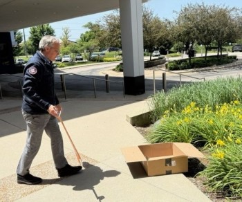 Aron releasing a starling fledgling just before the holiday and during an executive cabinet meeting. 
