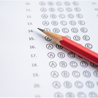 Assessment