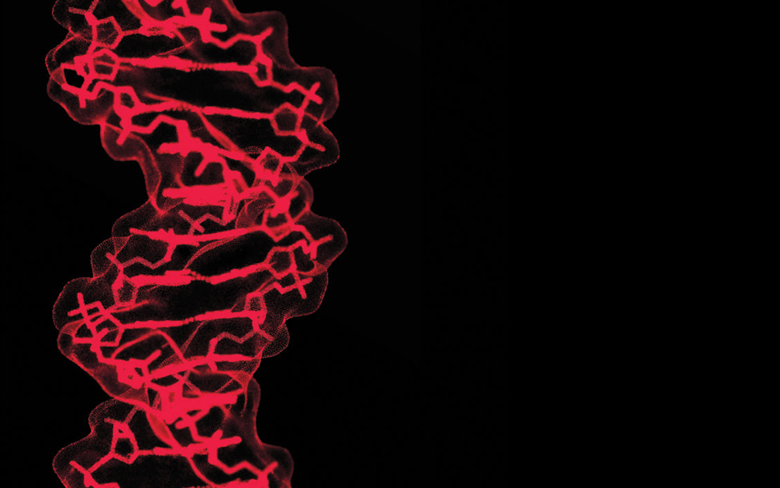 mult panel illustration